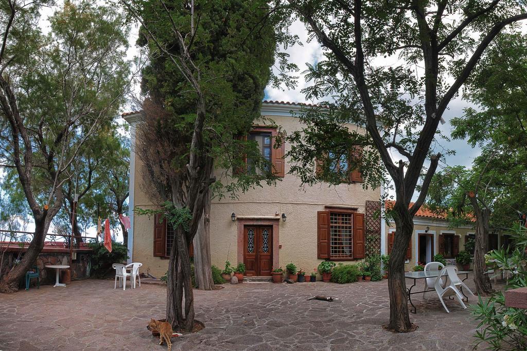 Lela Kaptani Eftalou Olive Grove Mythimna Zewnętrze zdjęcie