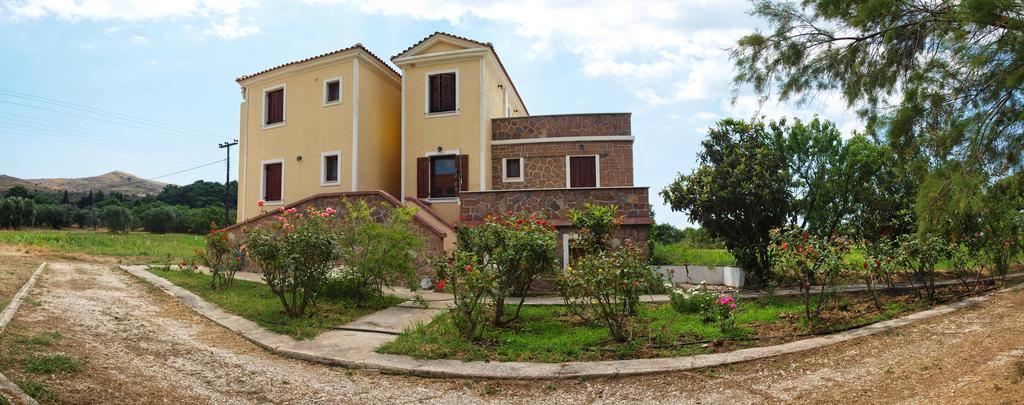 Lela Kaptani Eftalou Olive Grove Mythimna Zewnętrze zdjęcie