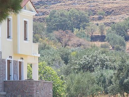 Lela Kaptani Eftalou Olive Grove Mythimna Zewnętrze zdjęcie